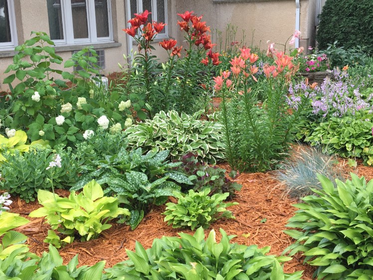 IMG_1382-FLW Front Gate